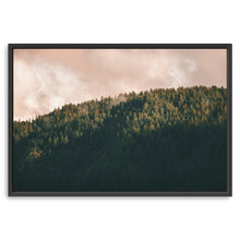 Tree Tops