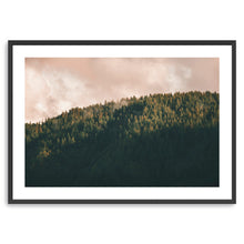 Tree Tops