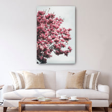 Magnolia Tree