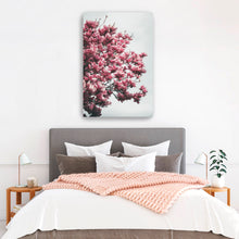 Magnolia Tree