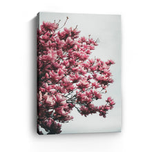 Magnolia Tree