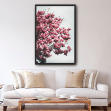 Magnolia Tree