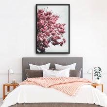 Magnolia Tree