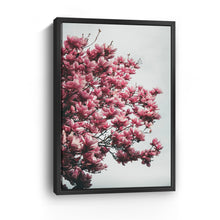 Magnolia Tree