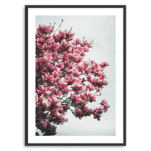 Magnolia Tree