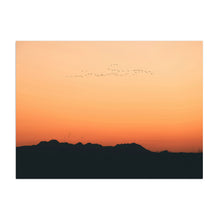 Sunset Migration