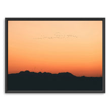 Sunset Migration