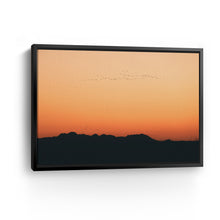 Sunset Migration