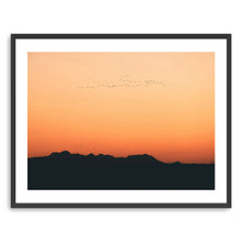 Sunset Migration