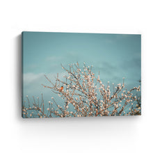 Almond Blossom II