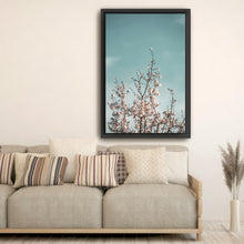 Almond Blossom III