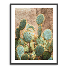 Cactus I