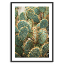 Cactus III