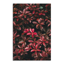 Red Leaves I
