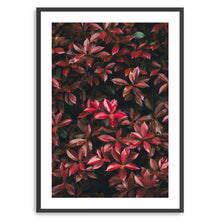 Red Leaves I