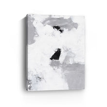 Mono