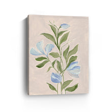 Botanico lll