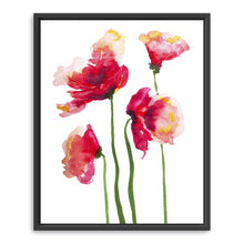 Poppies Watercolor