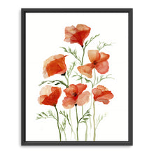 Orange Poppies Raw