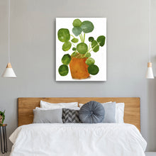 Pilea