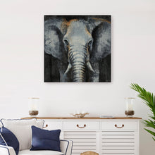 Safari Animals Elephant