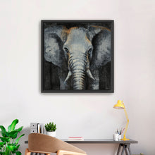 Safari Animals Elephant