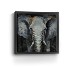 Safari Animals Elephant