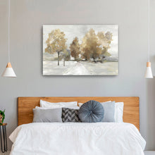 Trail Under the Tress