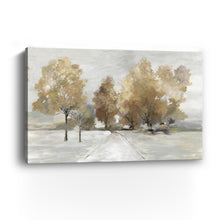 Trail Under the Tress