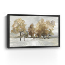 Trail Under the Tress