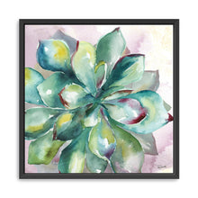 Succulent Watercolor I