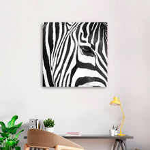 Zebra Up Close