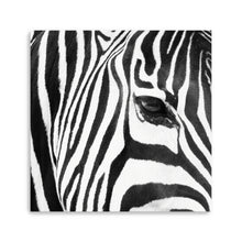 Zebra Up Close
