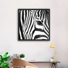 Zebra Up Close