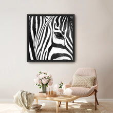 Zebra Up Close