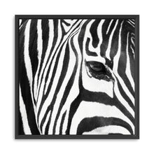 Zebra Up Close