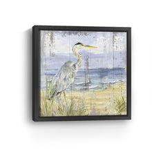 Birds of the Coast Rustic I