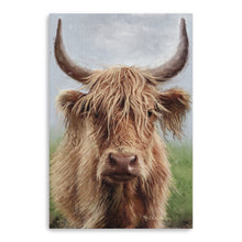 Highland Portrait II