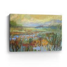 Marsh in May