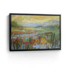 Marsh in May