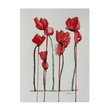 Papaver