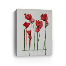 Papaver