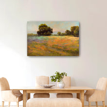 Spring Meadow