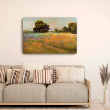 Spring Meadow