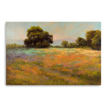 Spring Meadow