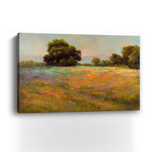 Spring Meadow