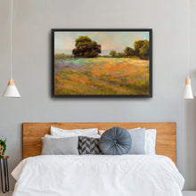 Spring Meadow