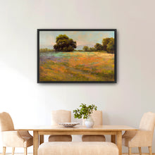 Spring Meadow
