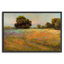 Spring Meadow