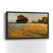 Spring Meadow